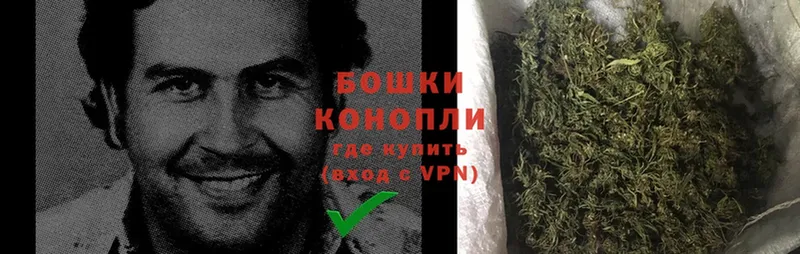 Конопля OG Kush  Печора 